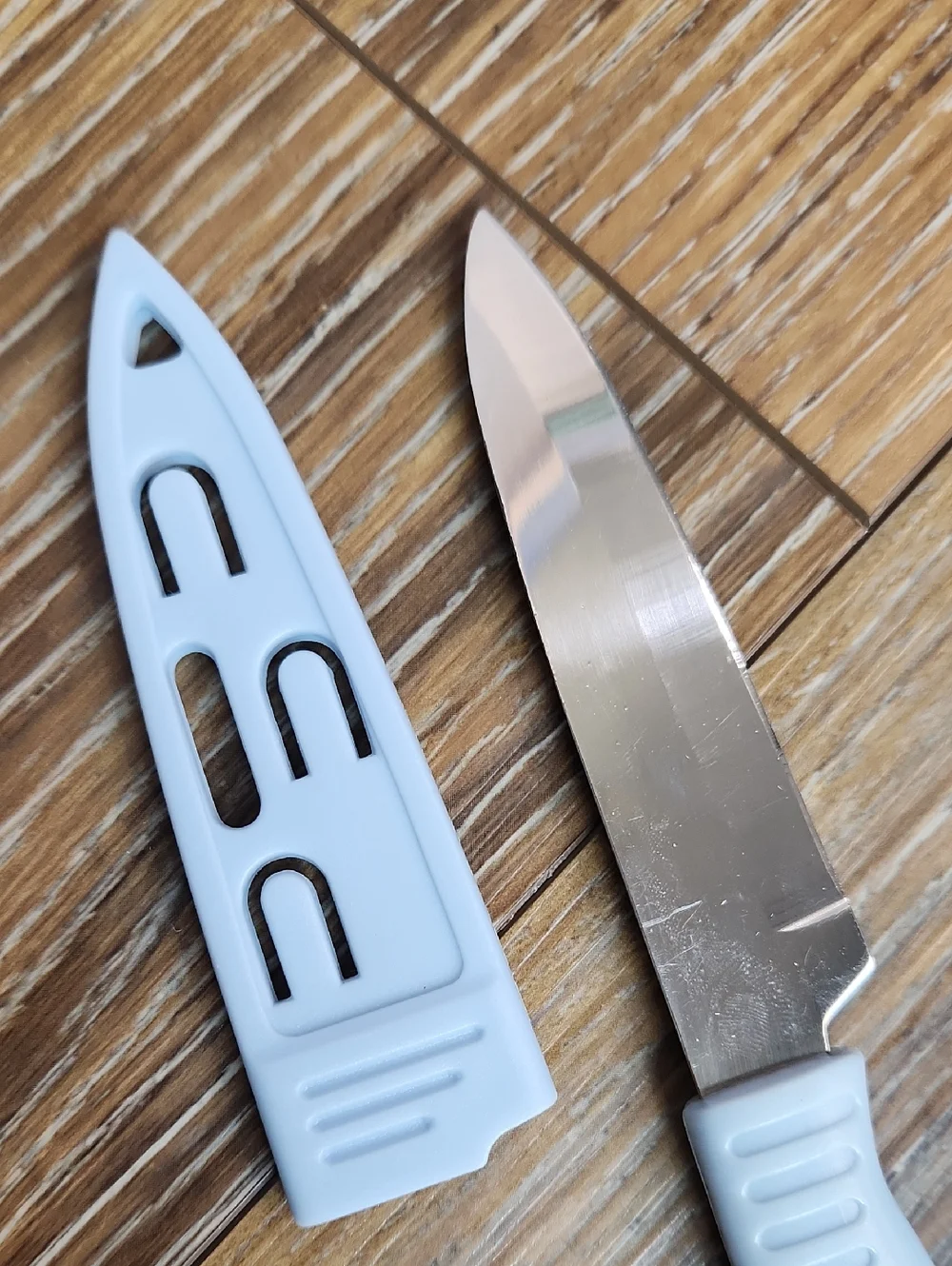 Stainless Steel Knife Blue Plastic Handle & Sheath